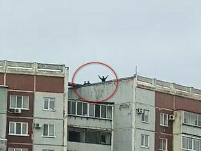 Прокуратура отреагировала на информацию о прогулках детей по крышам домов в Благовещенске