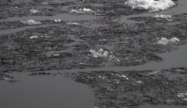 Изза надвигающейся на Приамурье непогоды синоптики предупреждают о подтоплении пойм рек и дорог 