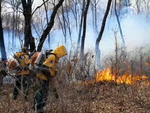 В нескольких километрах от Белогорья тушат природный пожар видео 