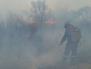 Четыре пожара потушили еще два в процессе как обстоят дела с пожарами в Амурской области