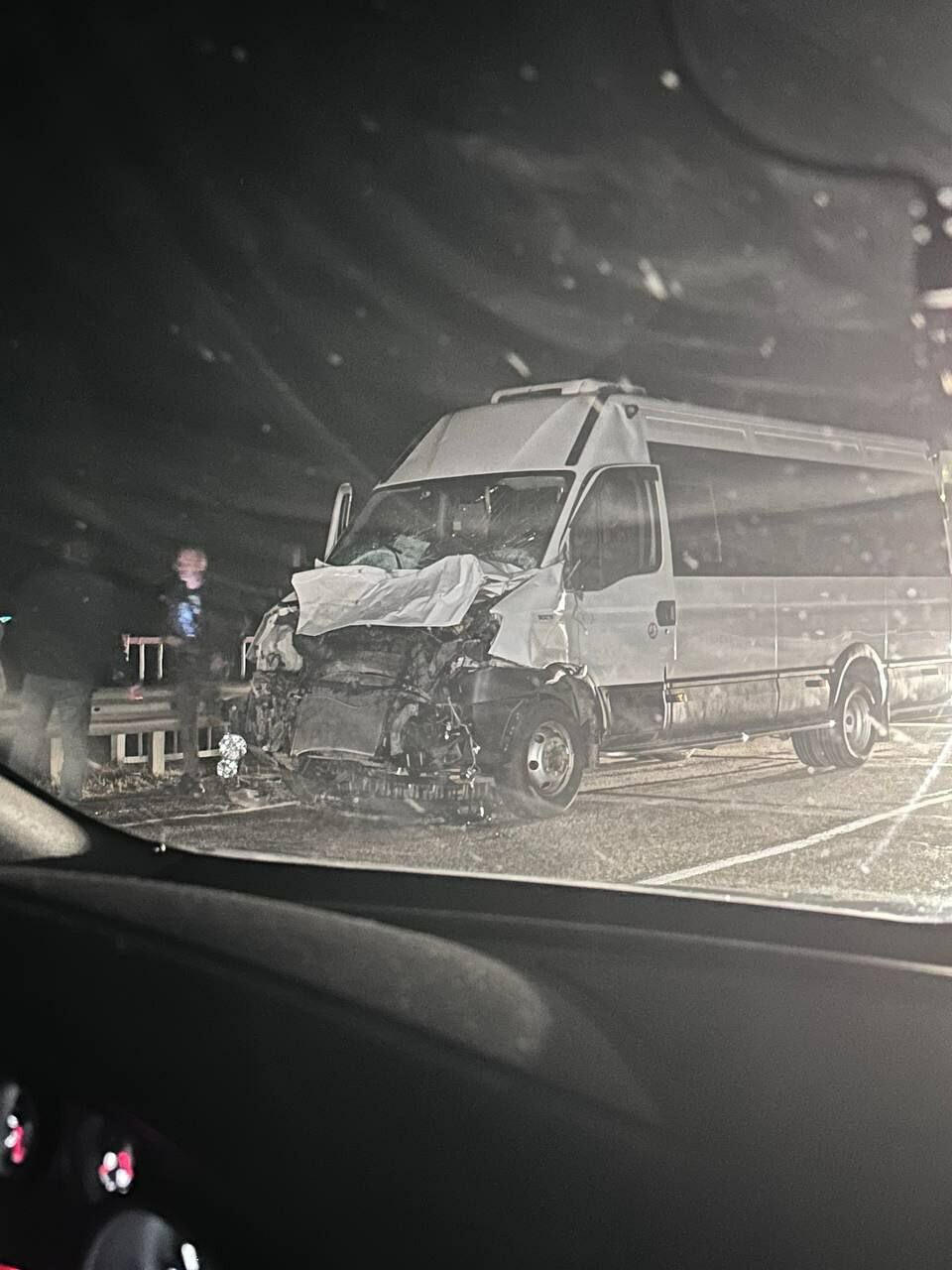 В Амурской области в пассажирский автобус на полном ходу влетела лошадь ▸  Amur.Life