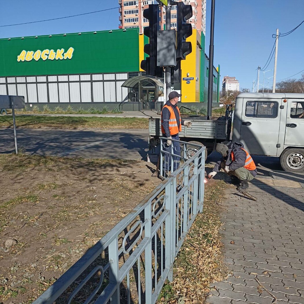 В микрорайоне Благовещенска начали высаживать маньчжурский орех и  рябинолистник ▸ Amur.Life