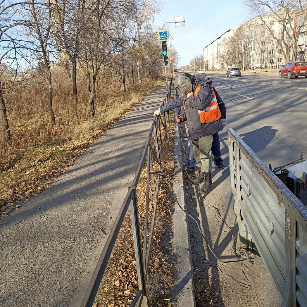 В микрорайоне Благовещенска начали высаживать маньчжурский орех и  рябинолистник ▸ Amur.Life