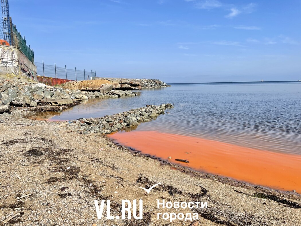 Море во Владивостоке «заржавело» (фото) ▸ Amur.Life