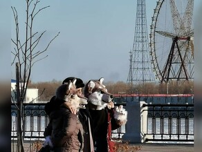 Днем снег с дождем прогноз погоды в Амурской области на 25 марта