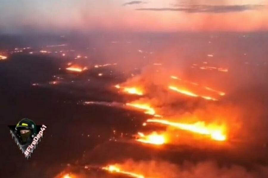 Возле Владимировки бушевал огромный пал Назван предполагаемый виновник видео