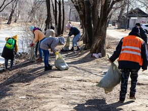 В первый городской субботник благовещенцы собрали 90 мешков мусора фото