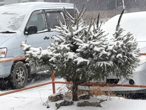 Хмурое утро 12 апреля в Благовещенске разыгралась метель фото видео