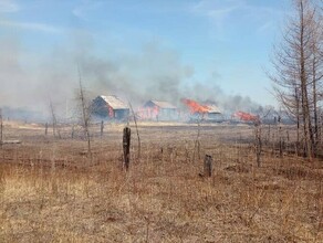 Прокуратура проверит насколько оперативно пожарные отреагировали на возгорание домов в Шимановском районе