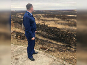 В Муравьевском парке Амурской области палом выжгло более 250 га Проверку проводит прокуратура