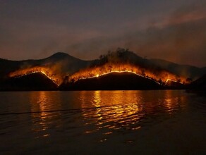 22 очага горения сухой растительности зарегистрировали в Приамурье видео