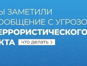 Лучше перебдеть для амурчан составлена памятка как и куда сообщать о готовящемся теракте