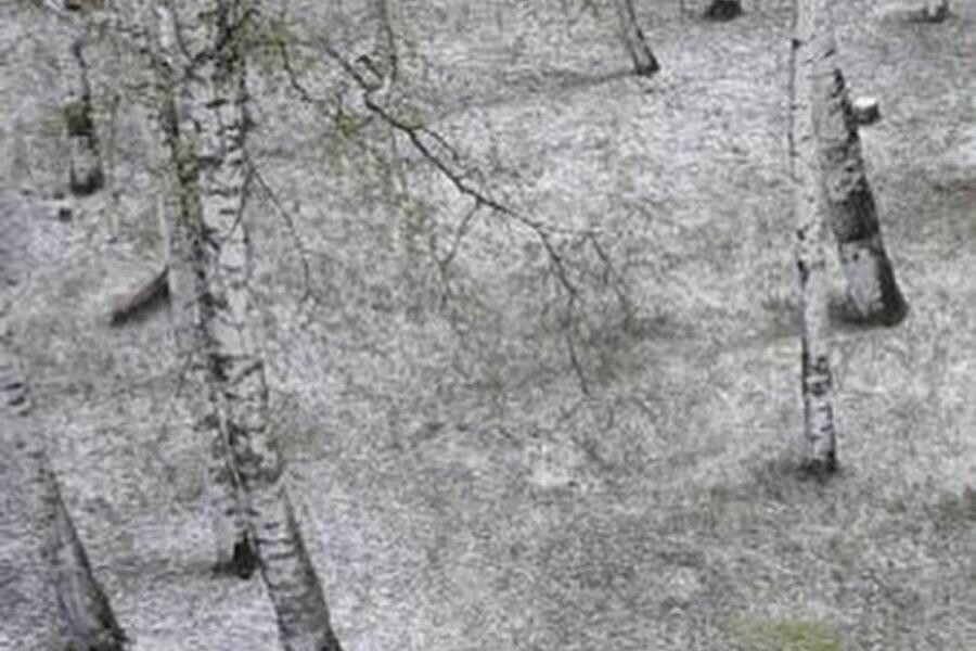 В Зее и Райчихинске прошел обильный град фото видео