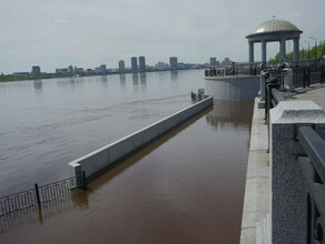 К Благовещенску по Амуру и Зее 31 мая прибудет гребень высокой воды