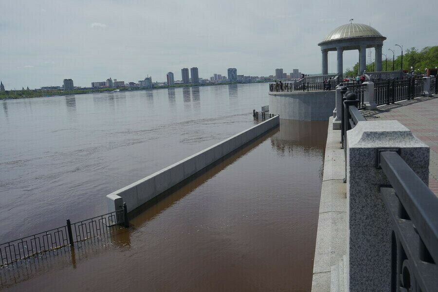 К Благовещенску по Амуру и Зее 31 мая прибудет гребень высокой воды