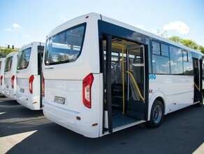 В Благовещенске появились новые современные автобусы фото