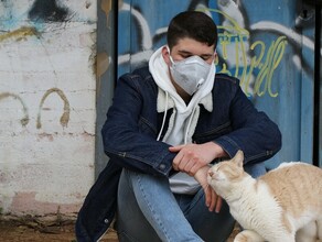 Коронавирус не отступает Статистика заболеваемости в Амурской области за сутки