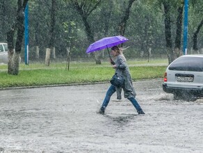 От легкой мороси до опасного явления Амурские синоптики рассказали о дожде