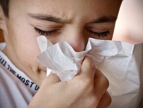 Помимо COVID19 в Амурской области наблюдается всплеск ОРВИ