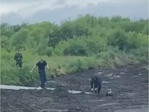 В Благовещенске парень чуть не утонул в зловонной жиже видео