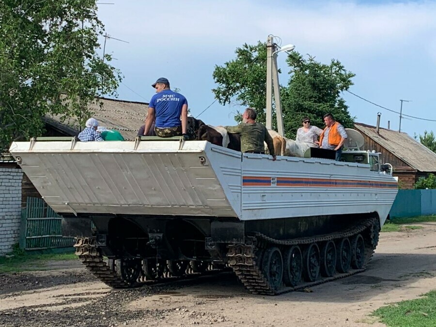 В селах Игнатьево и Марково затоплены десятки жилых домов Там эвакуируют людей и скот