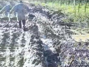 Ямы по пояс в Амурской области на видео сняли дорогу в Октябрьский где живет больше 1 000 человек