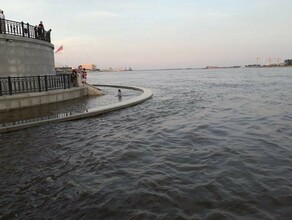 В Благовещенске уровни рек идут на спад на севере продолжается подъем более чем на полметра за сутки