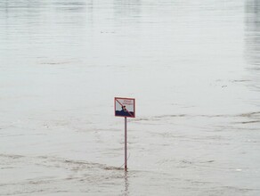 С начала купального сезона в Амурской области утонули четверо детей Как предотвратить трагедию