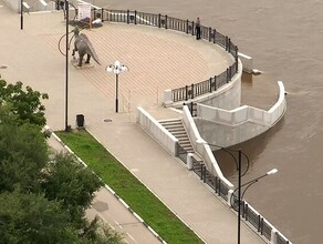 На Амуре в районе Благовещенска впервые за несколько дней зафиксирован спад уровня воды Что на Зее