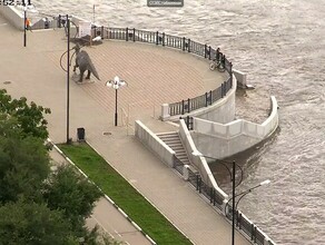 В Благовещенске на Амуре вода второй день убывает на Зее  поднимается данные на 10 августа