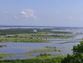 В Приамурье изза снижения сбросов на ГЭС отмечен резкий спад воды на двух реках Где уровни продолжают расти