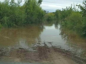 В Амурской области шесть школьных автобусов не встанут на маршруты изза паводка