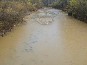 В Амурской области золотодобытчик за загрязнение ручья может заплатить 15 миллионов рублей