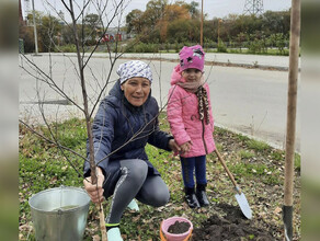 Благовещенцам предлагают забронировать в городе место которое они хотят убирать 