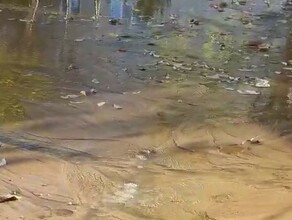 Порыв в центре Благовещенска вода сочится прямо изпод земли видео