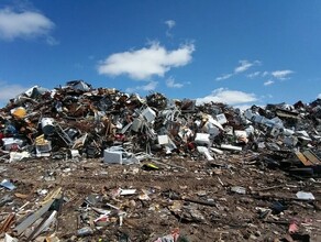 Переписчики ездили на свалки как в Амурской области переписывали бездомных спецконтингент и рабочих крупных строек