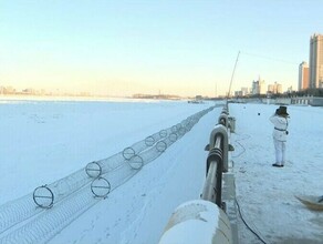 Власти Хэйхэ создали портрет идеального перебежчика