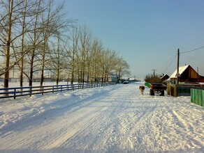 Амурские многодетные семьи смогут получить земельные участки 