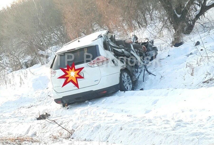 Соцсети около села Томичи в жестком ДТП погиб человек фото видео