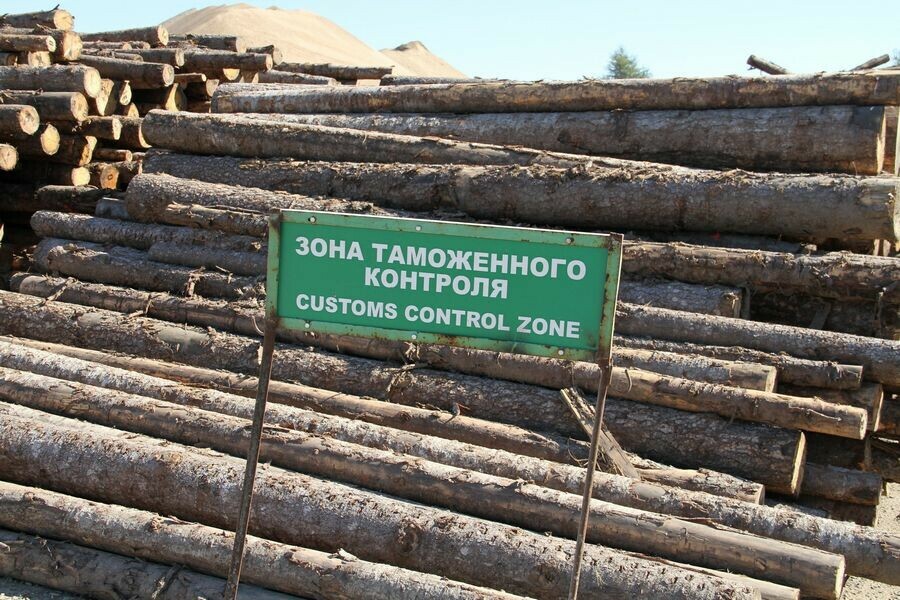 Таможенники Благовещенска рассказали как чаще всего нарушали закон на границе в 2021 году  