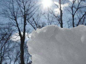 Амурские синоптики рассказали как долго продержатся плюсовые температуры в регионе