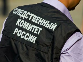 В России возбуждены первые уголовные дело за распространение фейков о действиях вооруженных сил РФ