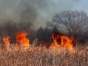 До миллиона рублей в России в 10 раз вырастут штрафы за отжиги сухой травы