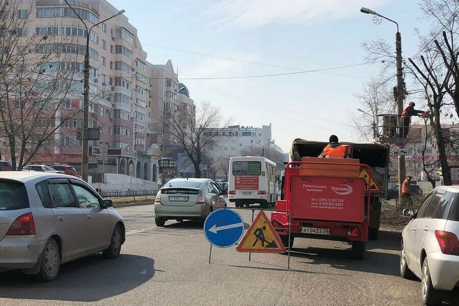 В центре Благовещенска изза спила веток затруднено движение видео