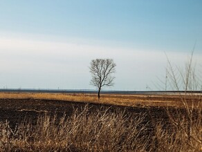 Жителя Амурской области наказали за поджог сухой травы