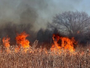 В амурском селе четвероклассник устроил пал и едва не спалил жилые дома