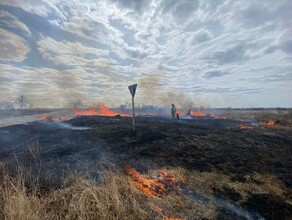 За сутки в Амурской области потушили 7 природных пожаров