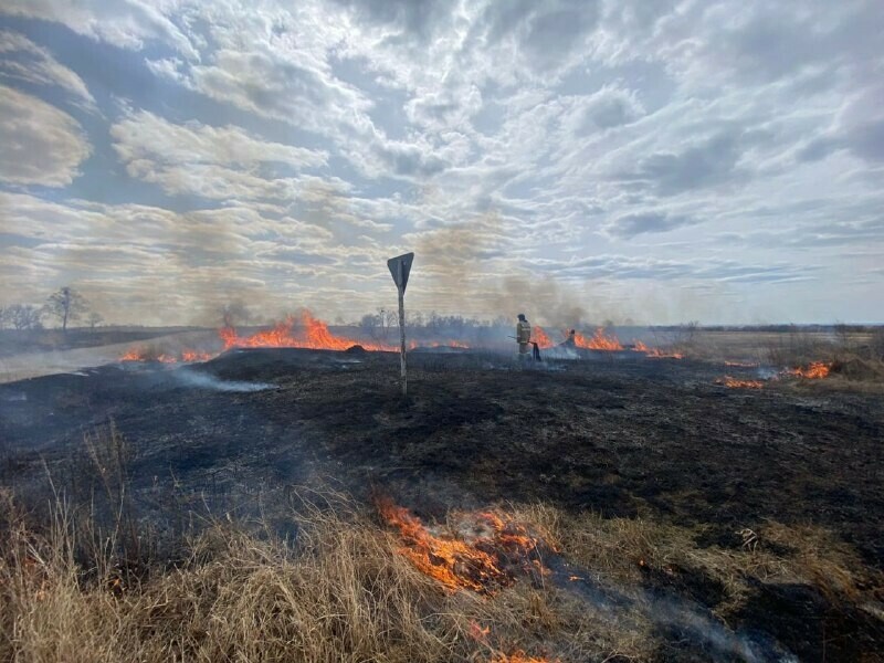 За сутки в Амурской области потушили 7 природных пожаров