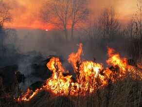 В Приамурье объявлено вознаграждение за информацию о ночных пироманах