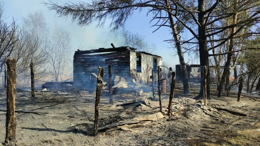 В амурском селе 70 человек тушили пожар который возник от пала видео